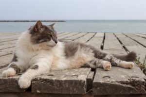 Entspannt im Urlaub
